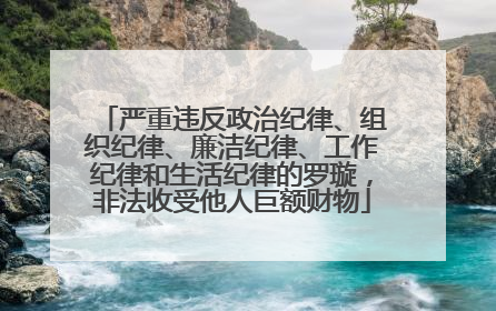 严重违反政治纪律、组织纪律、廉洁纪律、工作纪律和生活纪律的罗璇，非法收受他人巨额财物